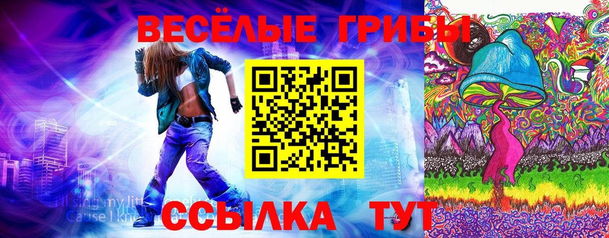 Псилоцибиновые грибы MAGIC MUSHROOMS Чита