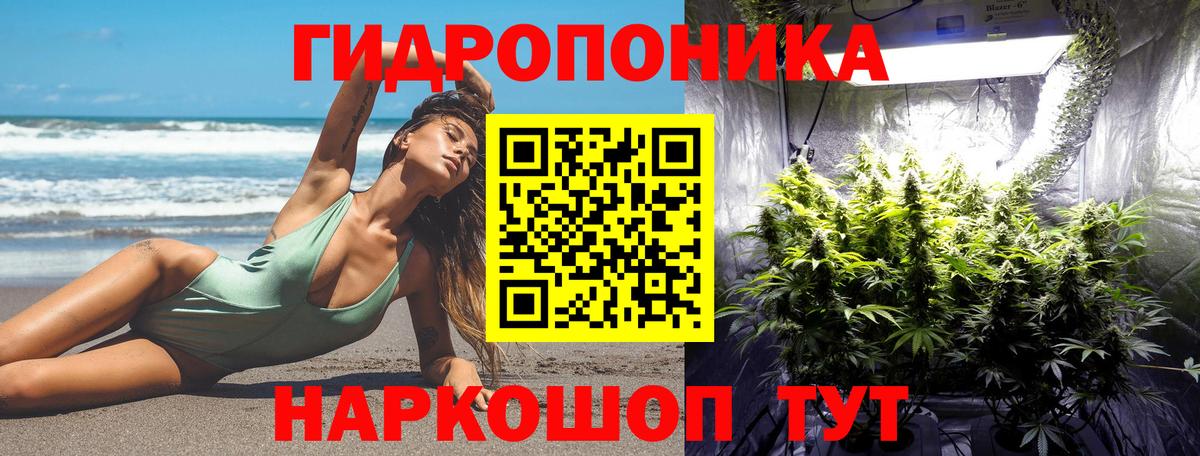 Конопля VHQ Чита